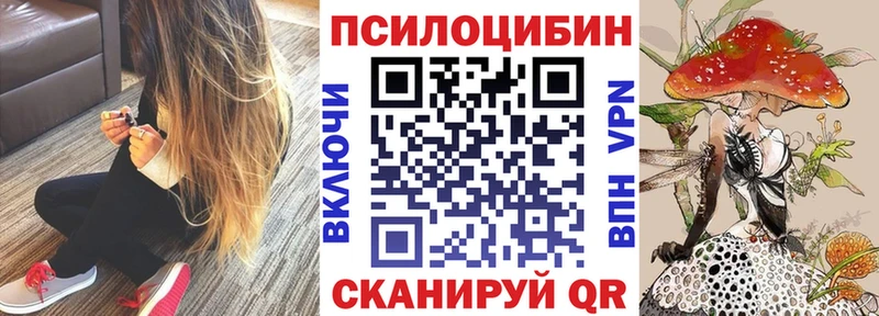 где можно купить   Нахабино  Галлюциногенные грибы мицелий 